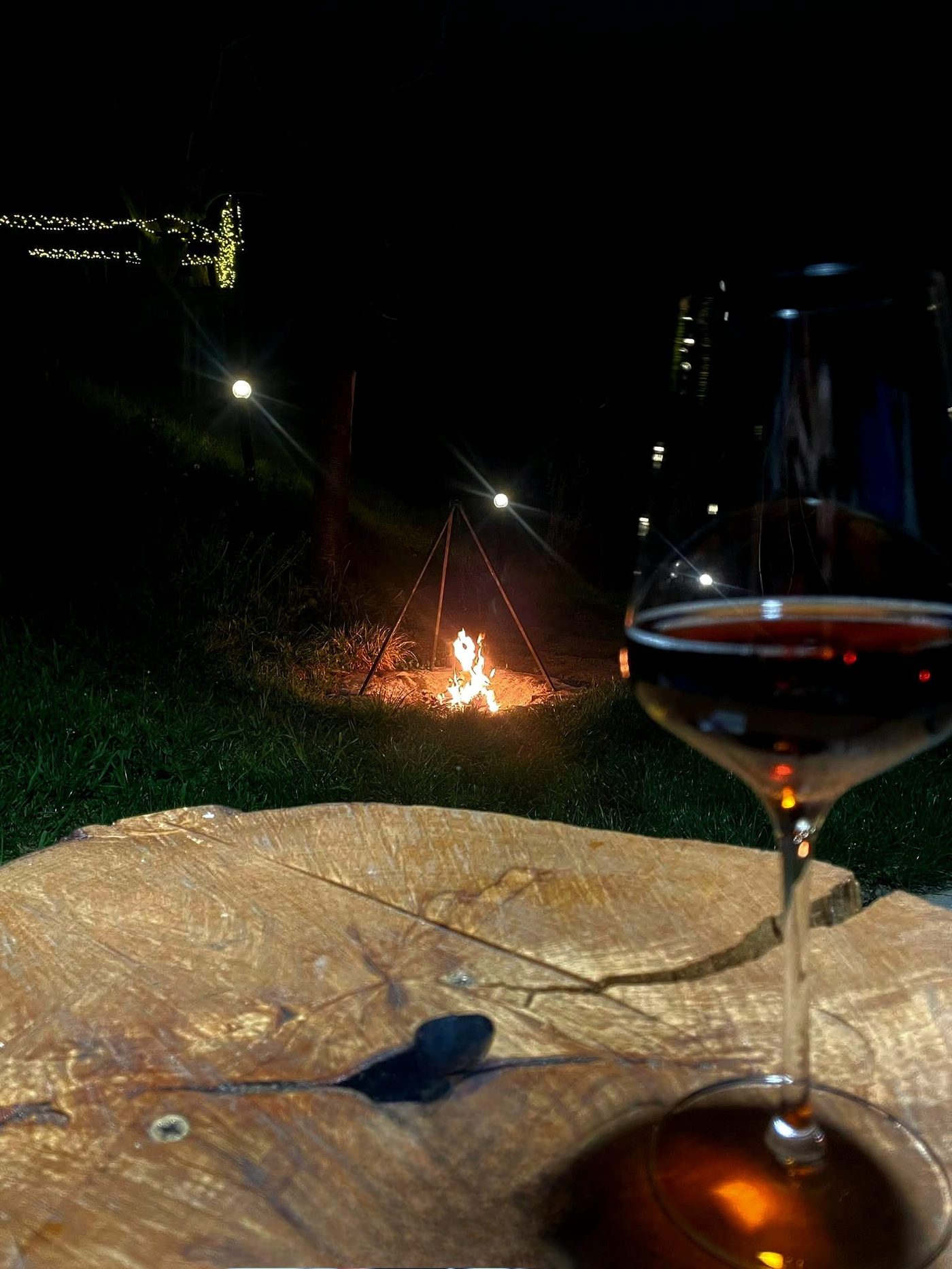 Pahar de vin roșu pe masă de bușteni, cu focul aprins în spate